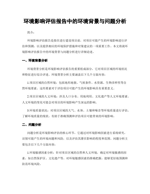 环境影响评估报告中的环境背景与问题分析