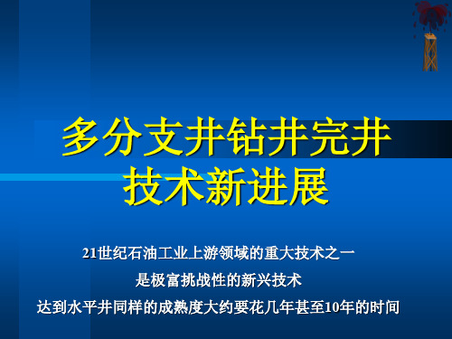 多分支井钻井技术.ppt