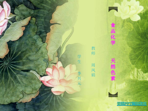 食品化学--天然色素