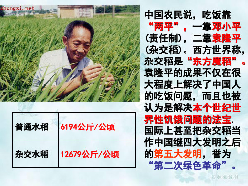 人教版地理高中必修二3.2 以种植业为主的农业地域类型(共24张PPT)