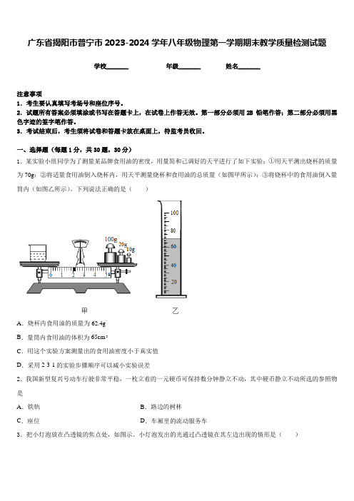 广东省揭阳市普宁市2023-2024学年八年级物理第一学期期末教学质量检测试题含答案