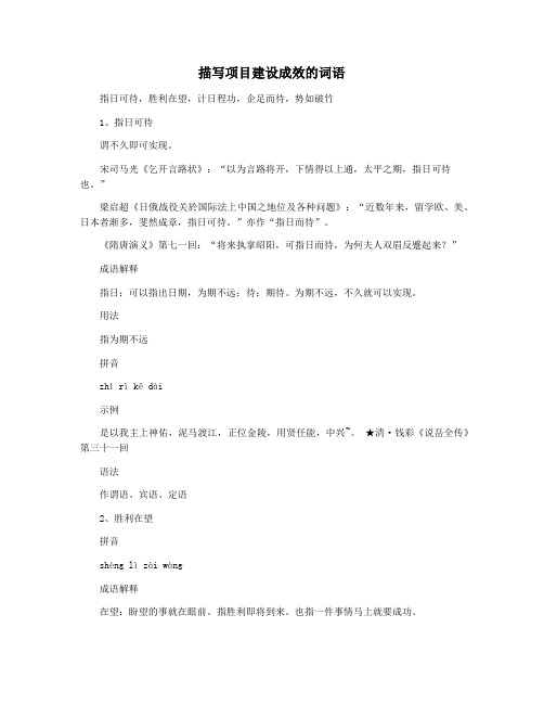 描写项目建设成效的词语