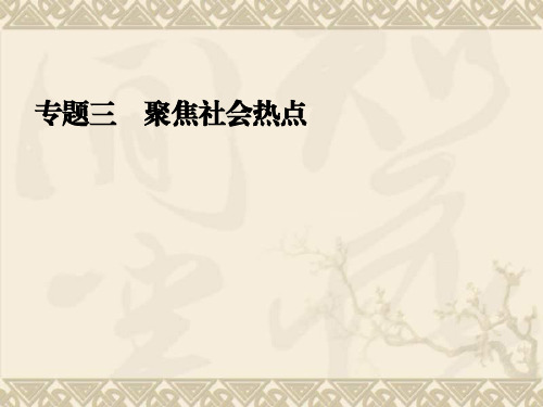 高考历史二轮复习全攻略特色专题讲练课件 特色专题讲练专题三 聚焦社会热点(73张PPT)