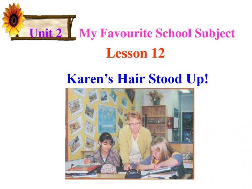 冀教版八年级英语上册第2单元《Lesson 12 Karen's Hair Stood Up!》课件(共17张PPT)