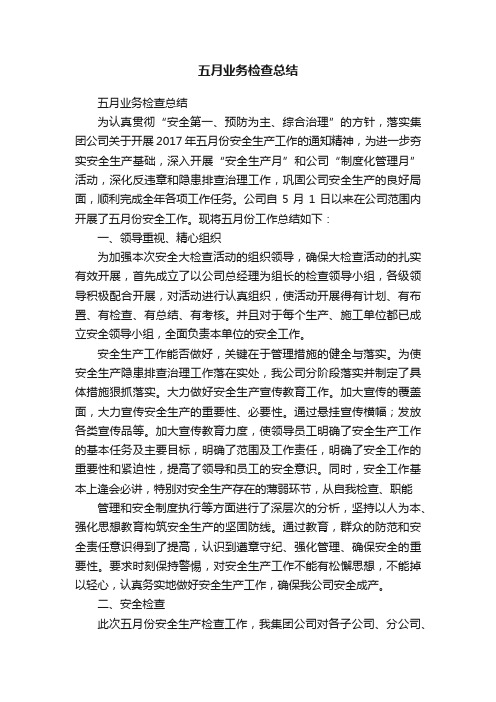 五月业务检查总结