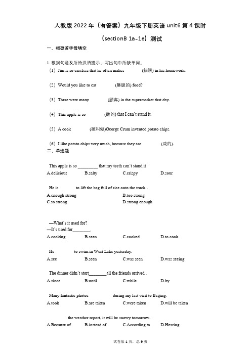 人教版2022年(有答案)九年级下册英语_unit6_第4课时(sectionB_1a-1e)测试