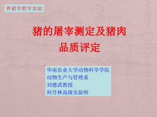 综合性实验：猪的屠宰测定和肉品质测定