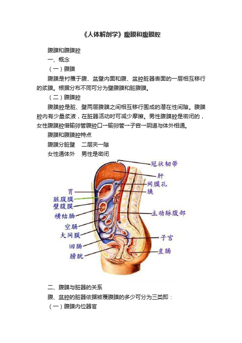 《人体解剖学》腹膜和腹膜腔