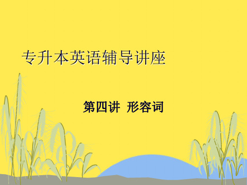 专升本英语辅导讲座04(“形容词”相关文档)共16张