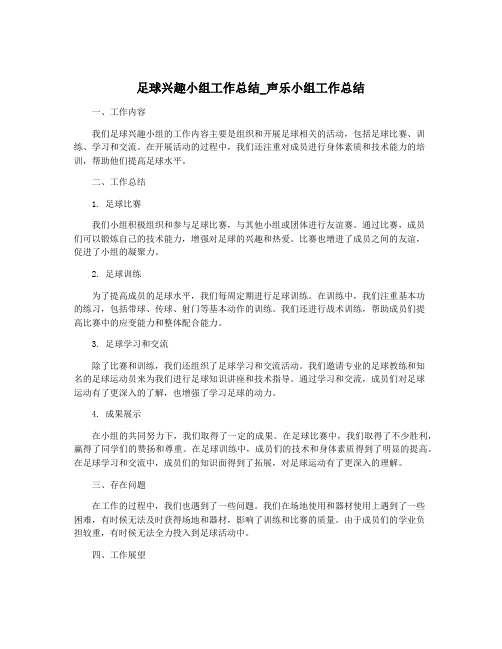 足球兴趣小组工作总结_声乐小组工作总结