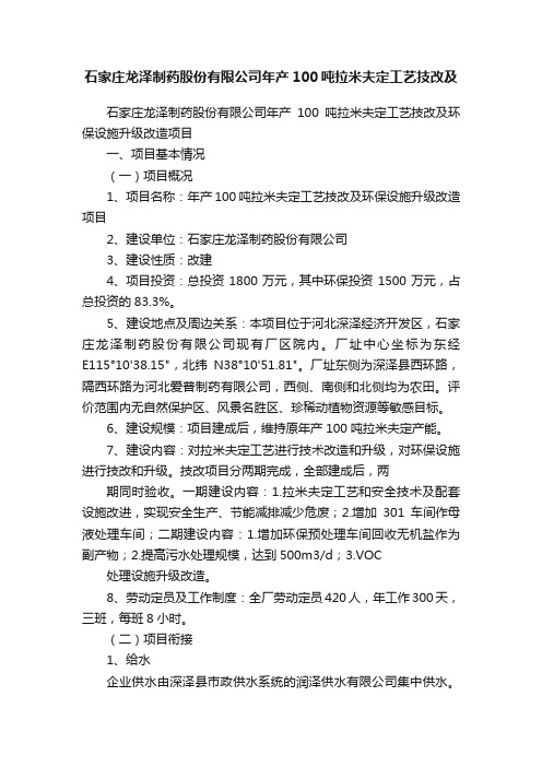 石家庄龙泽制药股份有限公司年产100吨拉米夫定工艺技改及