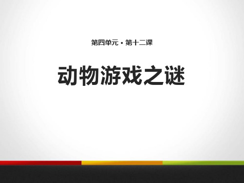 《动物游戏之谜》PPT