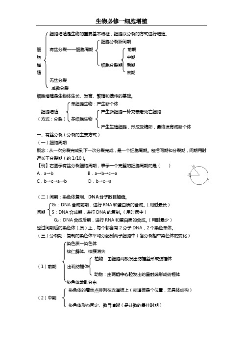 生物必修一细胞增殖