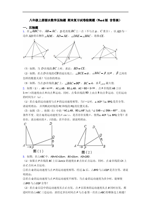 八年级上册丽水数学压轴题 期末复习试卷检测题(Word版 含答案)