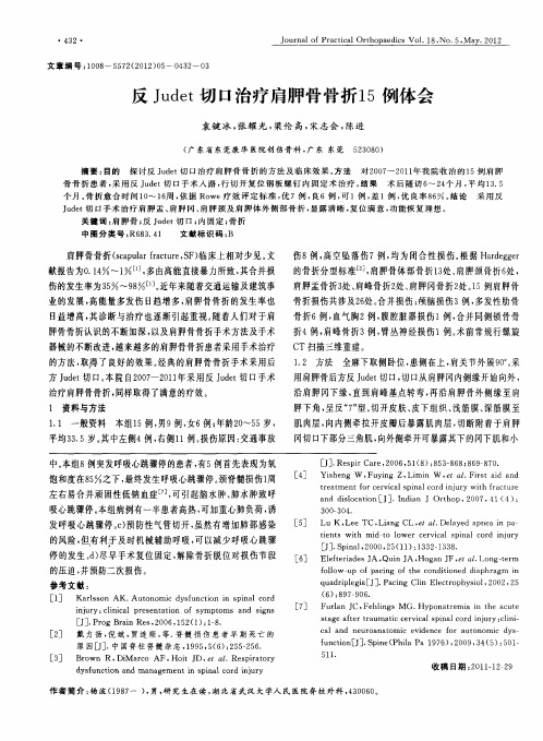 反Judet切口治疗肩胛骨骨折15例体会