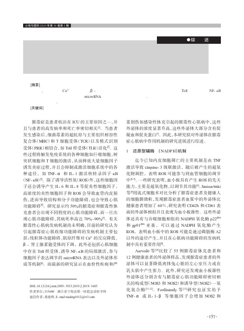 外泌体在脓毒性心肌病中的作用机制研究进展