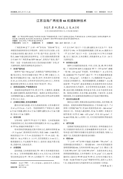 江苏沿海广两优香66机插制种技术