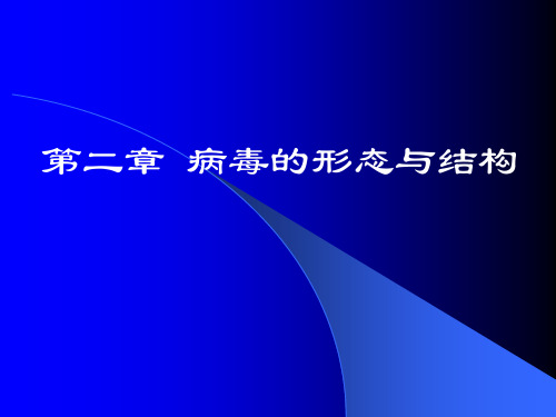 第二节     病毒的结构