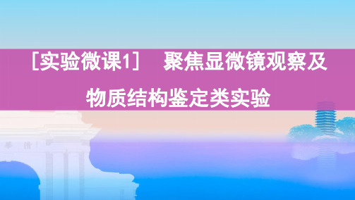 实验微课1聚焦显微镜观察及物质结构鉴定类实验