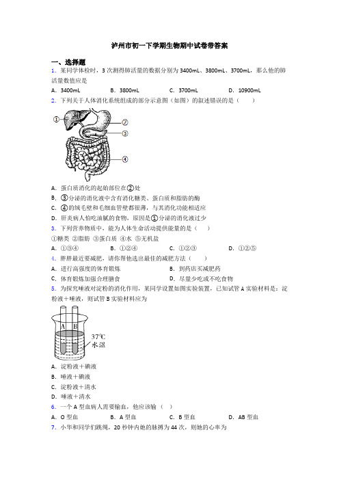 泸州市初一下学期生物期中试卷带答案