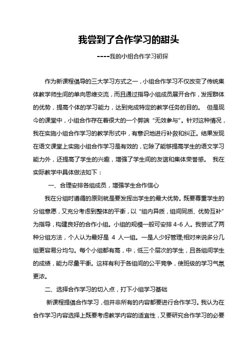 我的小组合作学习初探 论文