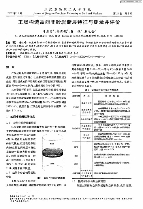 王场构造盐间非砂岩储层特征与测录井评价