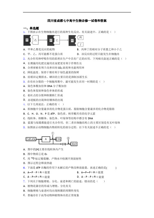 四川省成都七中高中生物必修一试卷和答案