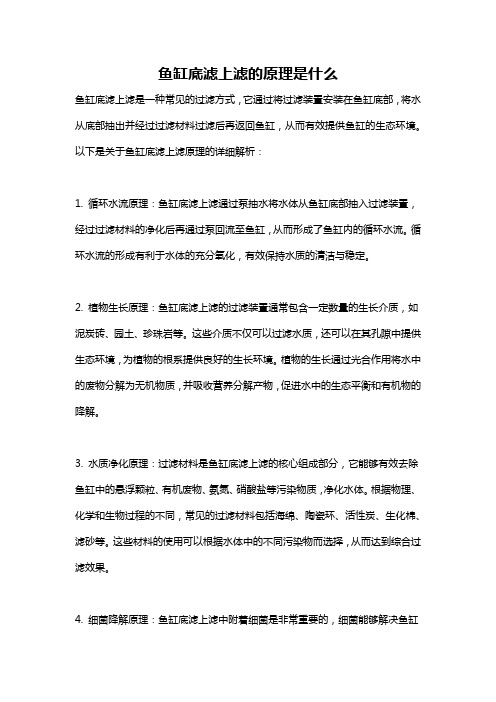 鱼缸底滤上滤的原理是什么