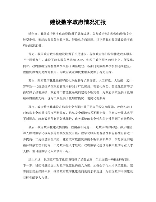 建设数字政府情况汇报