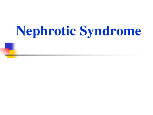 Nephrotic Syndrome -精品医学课件