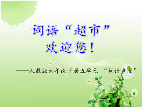 人教版六年级语文下册《五组 词语盘点》示范课课件_9