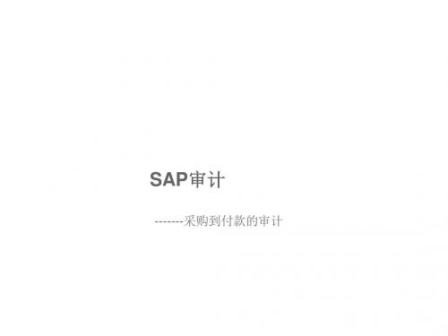 SAP环境下的审计