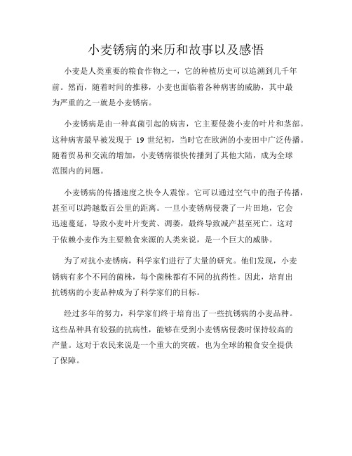 小麦锈病的来历和故事以及感悟