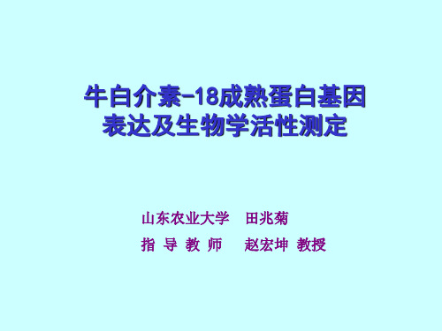 牛IL18成熟蛋白基因的表达及生物学活性测定