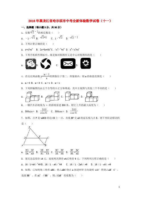 黑龙江省哈尔滨市中考数学全新体验试卷(十一)(含解析)