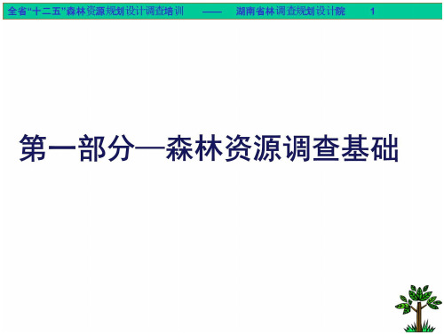 森林资源调查基础资料