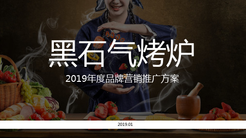 2019知名烤炉年度品牌网络营销推广方案(含抖音、小红书、双微运营)