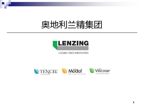 奥地利兰精集团(Lenzing Group)