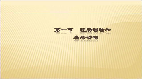 腔肠动物和扁形动物课件-广东省佛山市顺德区勒流江义初级中学人教版八年级生物上册