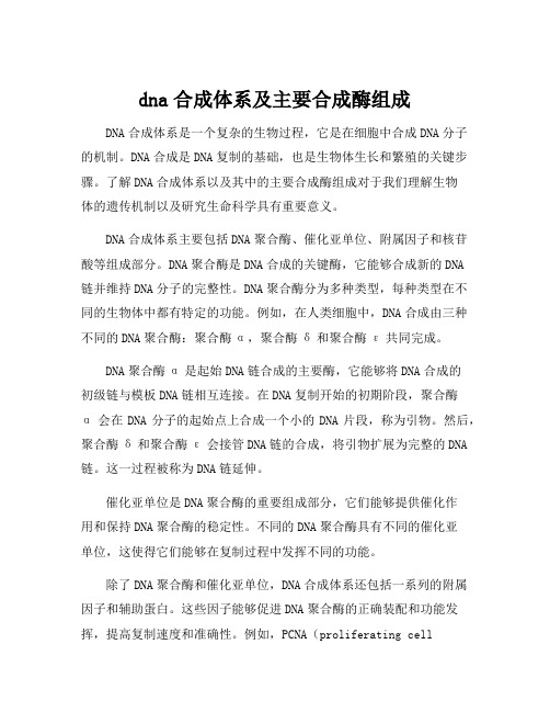 dna合成体系及主要合成酶组成