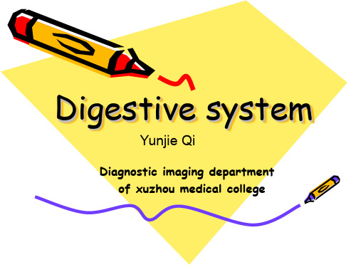 医学影像学专业英语Digestive system(2)