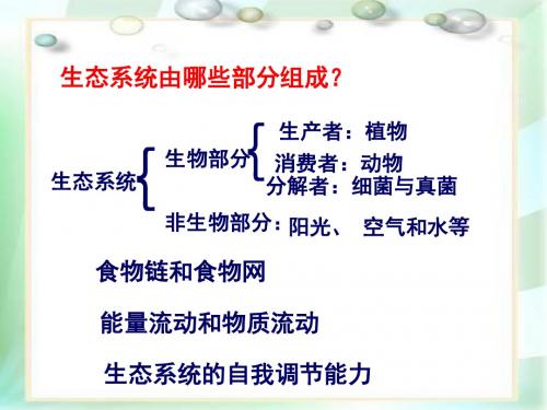 第四节 多种多样的生态系统