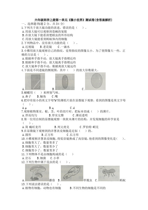 六年级科学上册第一单元《微小世界》测试卷(含答案解析)