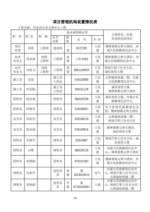 (项目管理)项目机构配备情况表