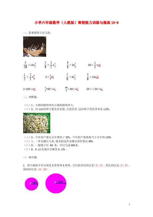 六年级数学寒假能力训练与提高159 人教版