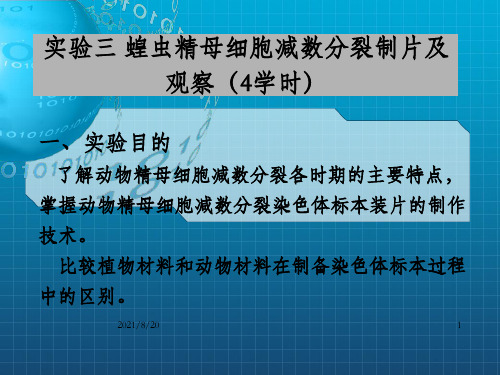 实验三蝗虫精母细胞减数分裂制片及观察学时_OK