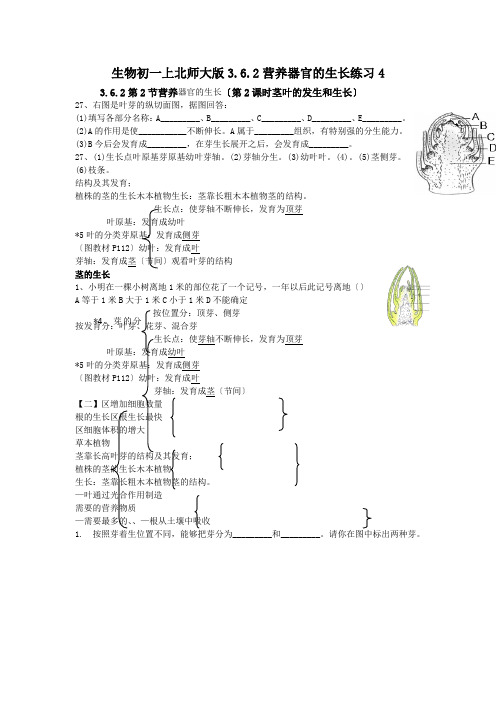 生物初一上北师大版3.6.2营养器官的生长练习4