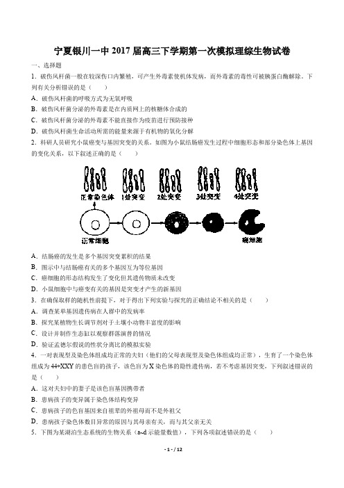 宁夏银川一中高三下学期第一次模拟理综生物试卷有答案