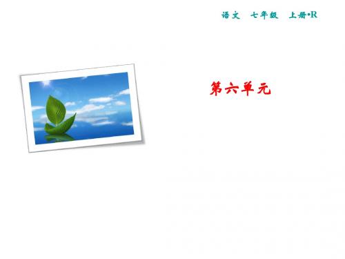 2019秋人教部编版七年级语文上册课件:第6单元 22 寓言四则 (共16张PPT)