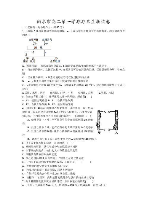 衡水市高二第一学期期末生物试卷14